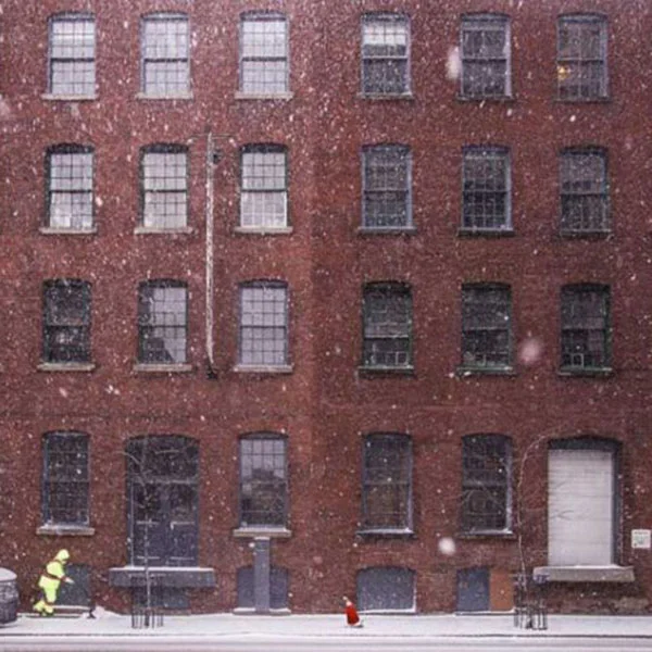 Professional Masonary Services in Chicago, IL